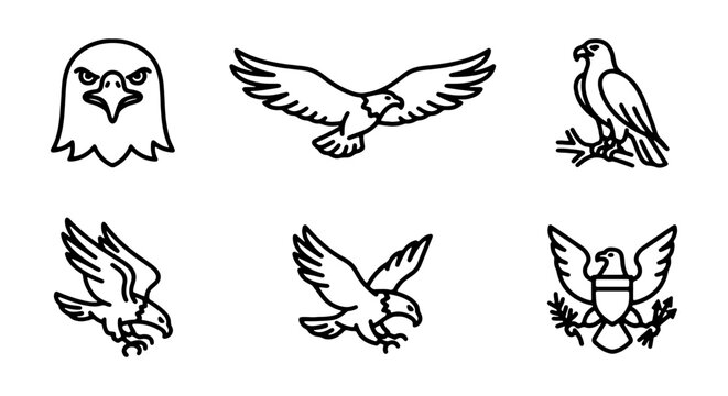 Collection of various eagle illustrations in different poses and styles