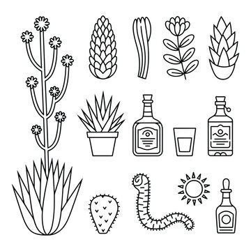 Set of mexican agave plant outline icons including tequila bottle glass worm and cactus elements for traditional beverage label.