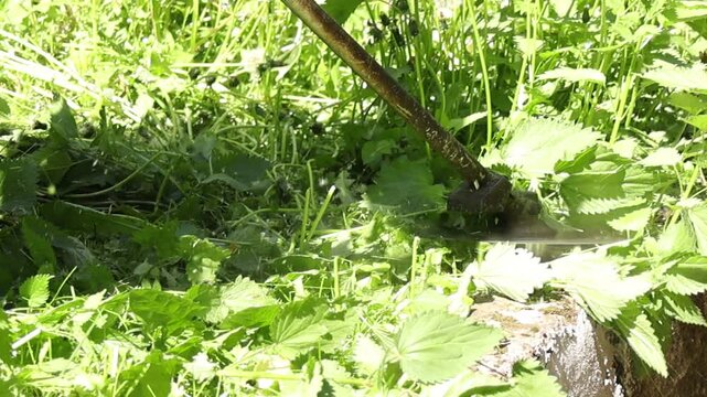 Close-up detail of a string trimmer blade cutting through dense green grass, capturing motion and precision of lawn maintenance, with flying clippings and sunlight highlighting active garden work.