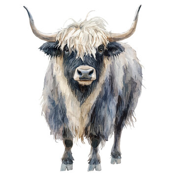 Yak, watercolor painting with colorful accents, isolated on a white background.