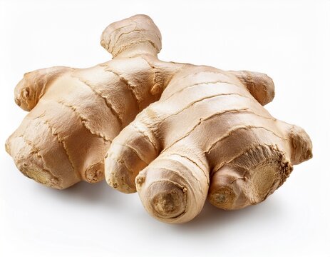 two fresh ginger root knobs isolated