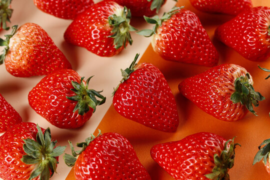 Fresh Strawberries Still Life Studio Photography on Colorful Background