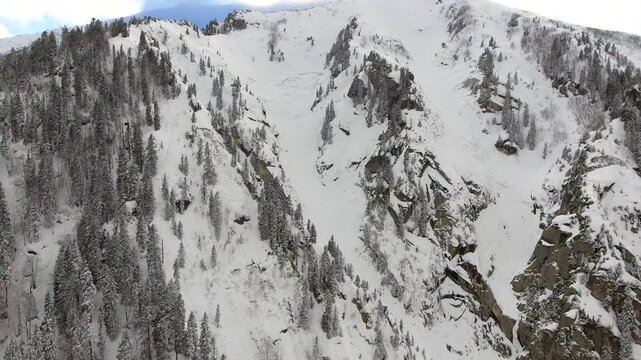 Aerial snowy mountain slope with mixed forest and rocky textures, minimal alpine background. Cold hillside, untouched woodland, simple winter terrain, quiet natural surface, clean scene.
