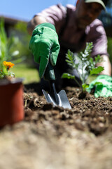Low Angle Gardener Digging Soil With Hand Trowel