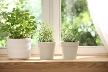 Fototapeta premium Different aromatic herbs in pots on wooden table near window indoors