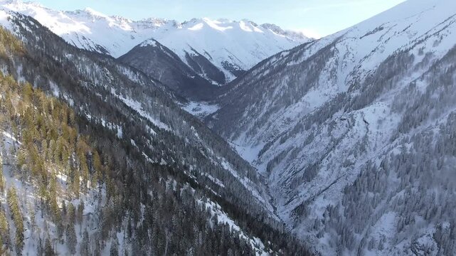 Aerial snowy mountains above forest valley in winter, calm alpine panorama, commercial stock scene. Icy summits, wooded slopes, cold light, remote wilderness, layered highland scenery, search wording.
