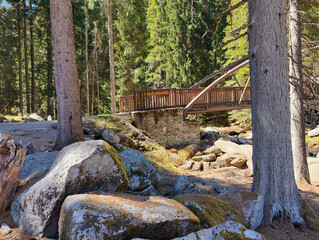 Fototapeta premium Wooden footbridge over rocky stream in sunlit pine forest. Mossy boulders and tall trees create serene wilderness scene.