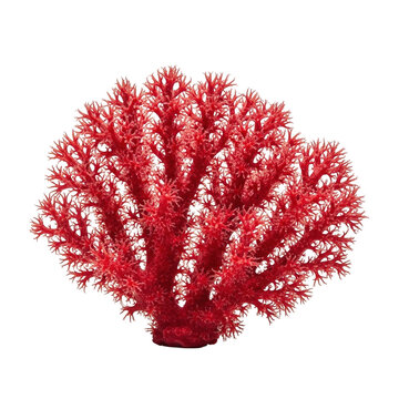 A vibrant red coral reef on a white background isolated on transparent background, PNG