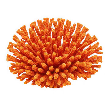 A close-up view of an orange fuzzy ball isolated on transparent background, PNG