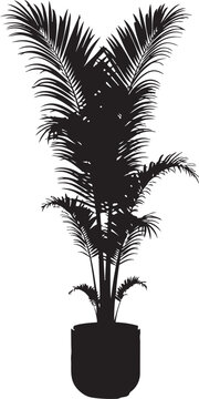 Tall palm plant in a black pot with lush green fronds isolated on transparent background, Vector