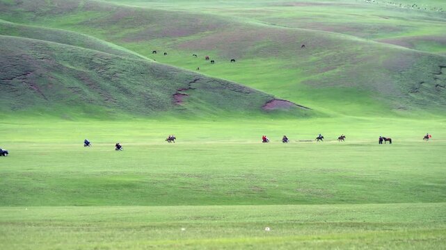 Naadam horse race on Mongolian steppe as riders gallop fast, raising dust across grassland. Traditional equestrian contest in Orkhon plains shows jockeys sprinting hard, kicking haze past green hills.