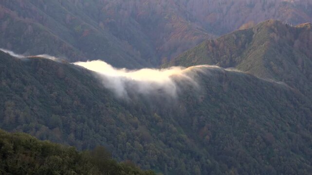 Time lapse fog cloud pours across forested mountain ridge, waterfall spill into deep valley. Swift vapor cascade crosses wooded crest, cold air meets warm dry layer, orographic stream forms.
