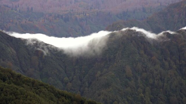 Time lapse fog cloud pours across forested mountain ridge, waterfall spill into deep valley. Swift vapor cascade crosses wooded crest, cold air meets warm dry layer, orographic stream forms.