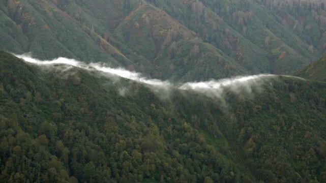 Time lapse fog cloud pours across forested mountain ridge, waterfall spill into deep valley. Swift vapor cascade crosses wooded crest, cold air meets warm dry layer, orographic stream forms.