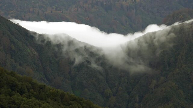 Time lapse fog cloud pours across forested mountain ridge, waterfall spill into deep valley. Swift vapor cascade crosses wooded crest, cold air meets warm dry layer, orographic stream forms.
