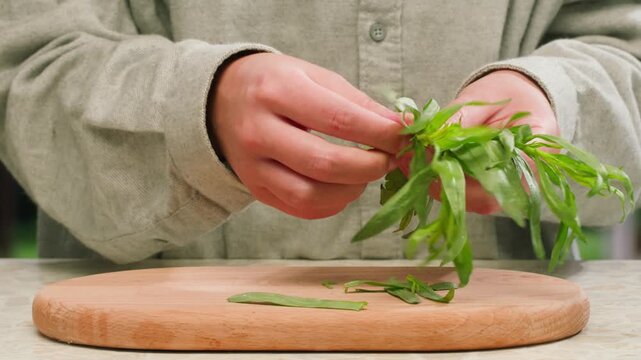 Tarragon leaves, bunch of tarragon on kitchen chef cooking dinner, middle eastern greens close up, macro. 