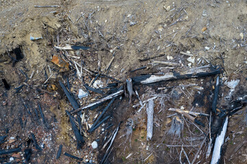 Fototapeta premium Charred Logs and Eroded Soil After Wildfire — Burnt Wood Debris on Hillside in British Columbia