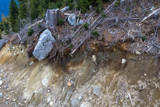 Eroded Forest Slope With Exposed Roots and Tree Stumps After Landslide in British Columbia, Canada
