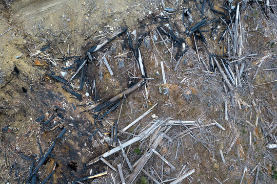 Aerial View of Burned Forest Stumps and Charred Logs on Eroded Slope in British Columbia