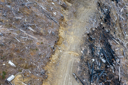 Aerial View of Clearcut and Burned Forest Slope After Logging in British Columbia, Canada