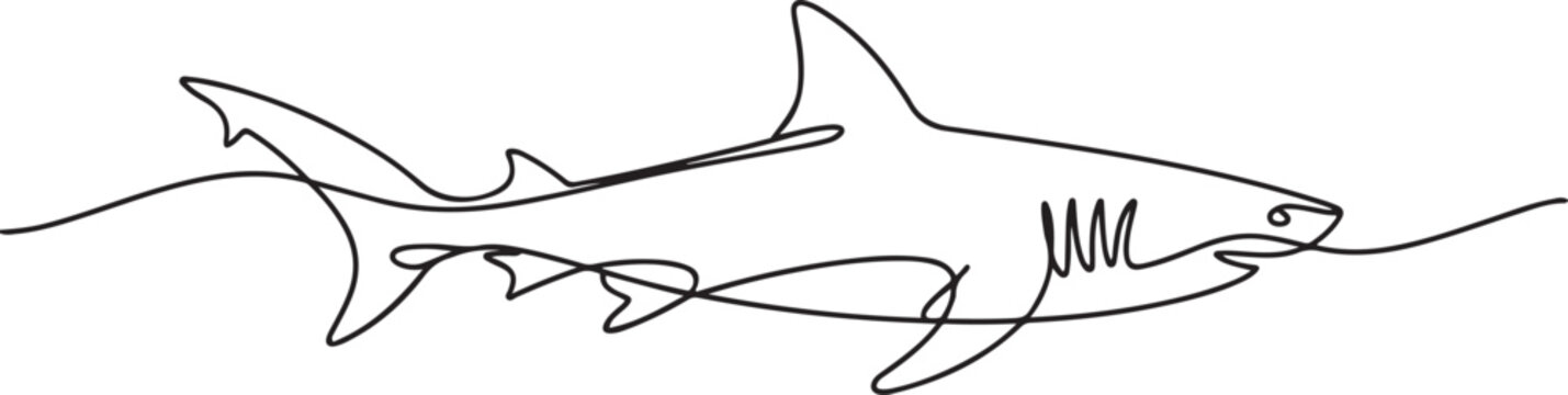 vector sharks drawn in line-continuous line drawing. one line Icon drawing