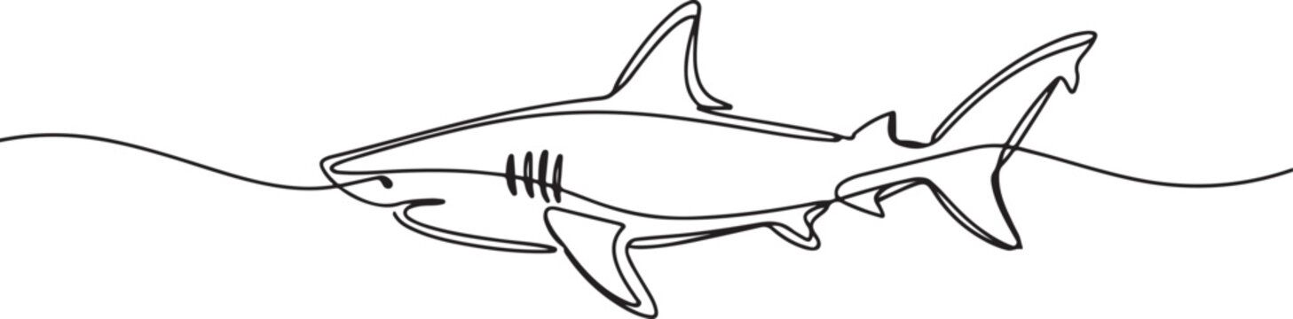 vector sharks drawn in line-continuous line drawing. one line Icon drawing