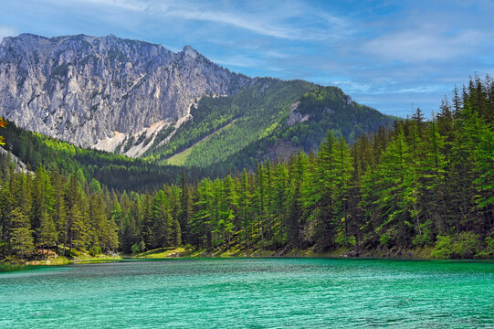 Turquoise water of Gruner See lake with Hochschwab mountain range and pine forest in Austria