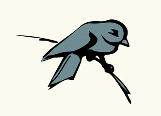 Vector drawing. Tit on white sky backdrop. © Marina
