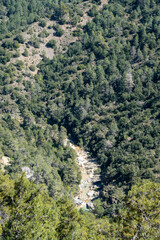 Fototapeta premium A vertical bird's-eye view looking down into a narrow, rocky riverbed surrounded by steep forested slopes.