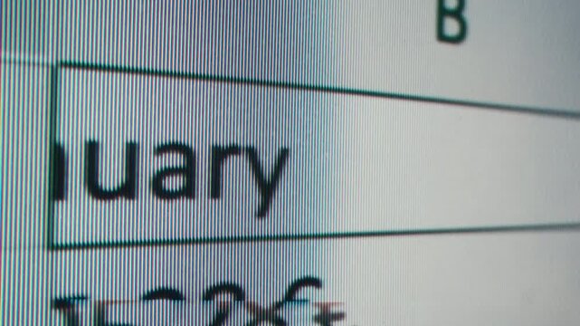 Close-up of financial cash flow data on PC screen. Mortgage payment sheet schedule. Loan fee