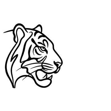 Tiger head in black and white.