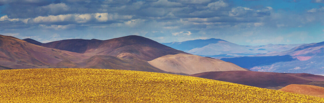 Northern Argentina