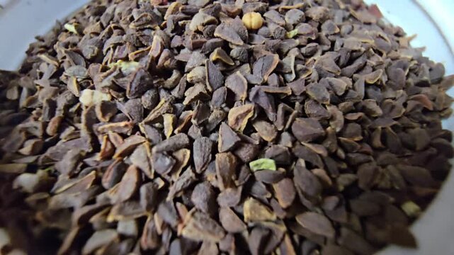 Top-down macro shot of Peganum harmala seeds in a white bowl, detailed texture of Syrian Rue seeds (Peganum harmala) used in herbal medicine and traditional rituals, bright natural lighting.