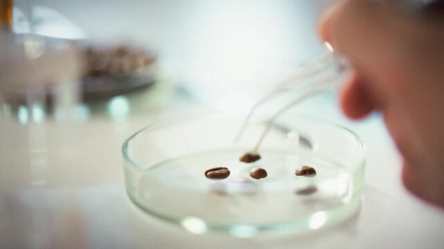 In a bright laboratory, a technician in a lab coat runs precise tests on coffee beans, screening for prohibited substances. The scientist-level analysis ensures safety and quality of the beans