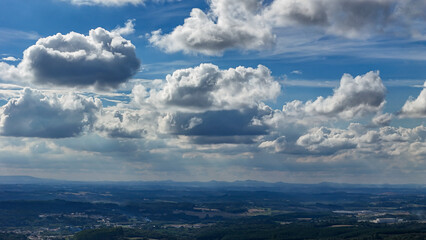 A wide-angle composition that highlights the contrast between a dynamic, cloud-laden sky and the vast, varied vegetation at its base. © Roberto