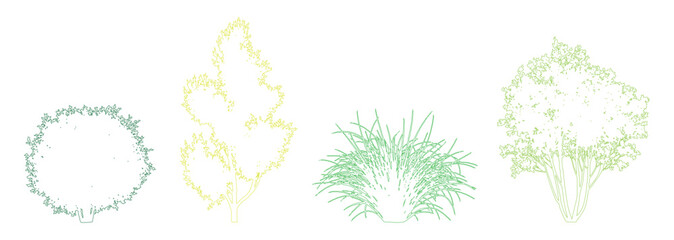Minimal style CAD plant and tree color variation drawing, Side view, set of graphics vegetation elements outline symbol for architecture landscape design drawing. Vector illustration. garden section © Addictive Stock
