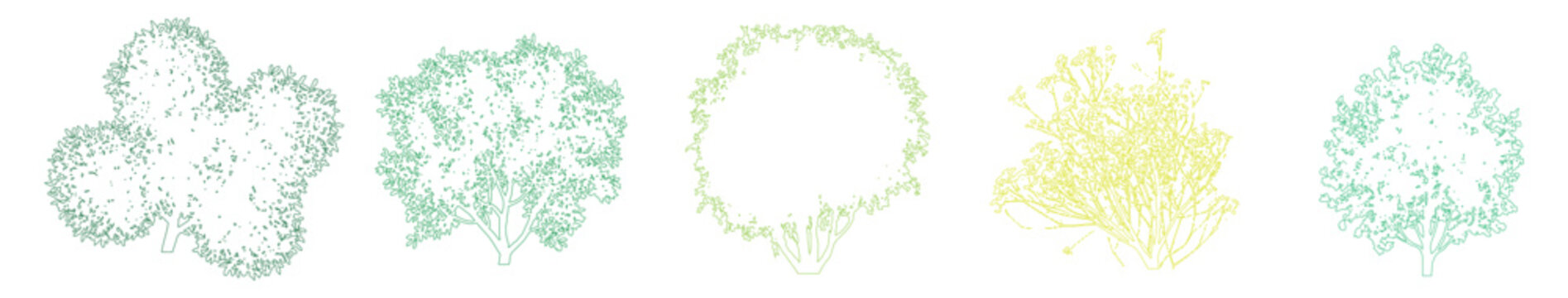 Minimal style CAD tree silhouette and color variation drawing, Side view, set of graphics mixed trees elements symbol for architecture landscape design drawing. Vector illustration. forest garden sect