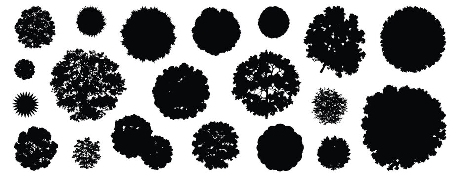 Minimal style CAD tree top view silhouette drawing, Set of graphics canopy elements symbol for architecture landscape design plan. Vector illustration. forest garden section