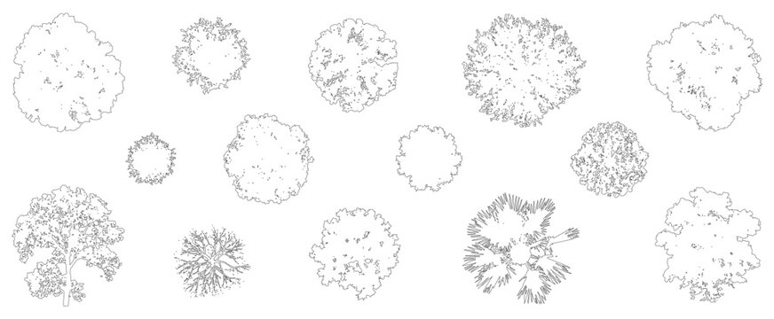 Minimal style CAD tree top view and side view drawing, Set of graphics vegetation elements outline symbol for architecture landscape design plan. Vector illustration. forest garden section