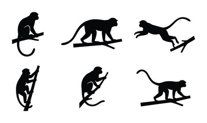 set of vector black and white monkey icons on branches © Shahin