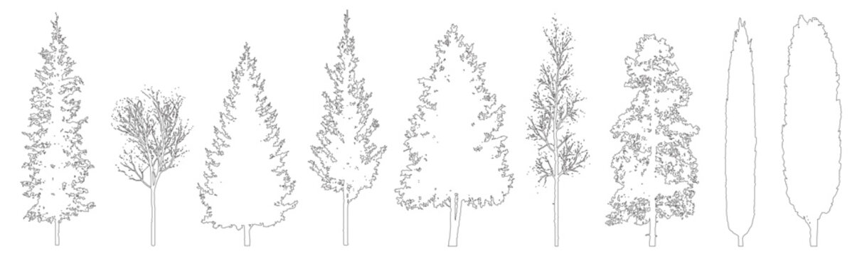 Minimal style CAD mixed tree line drawing, Side view, set of graphics deciduous and coniferous trees elements outline symbol for architecture landscape design drawing. Vector illustration. forest gard