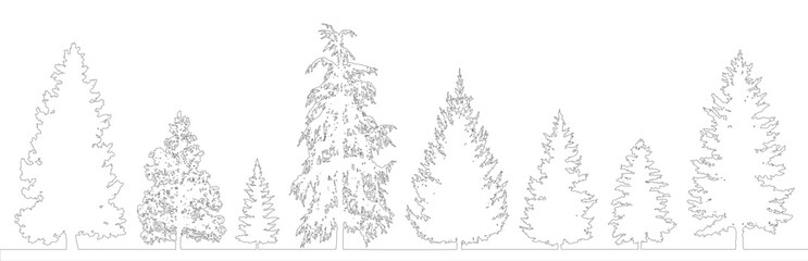 Minimal style CAD coniferous tree line drawing, Side view, set of graphics evergreen trees elements outline symbol for architecture landscape design drawing. Vector illustration. forest garden section © Addictive Stock