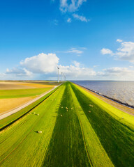 Naklejka premium Aerial view of wind turbines on green fields near sea coast and dam. Scenic landscape with wind generators, field and sky with clouds. Renewable energy and environment from above.