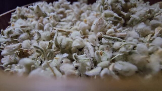 Macro shot of dried Teucrium polium (Felty Germander), a medicinal mountain herb from the Saudi desert used in folk medicine and blood sugar regulation, served in a wooden bowl.