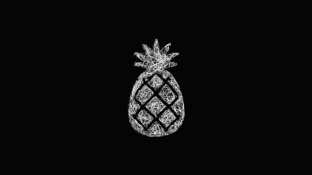 Sketch pineapple icon animation - smooth progressive reveal