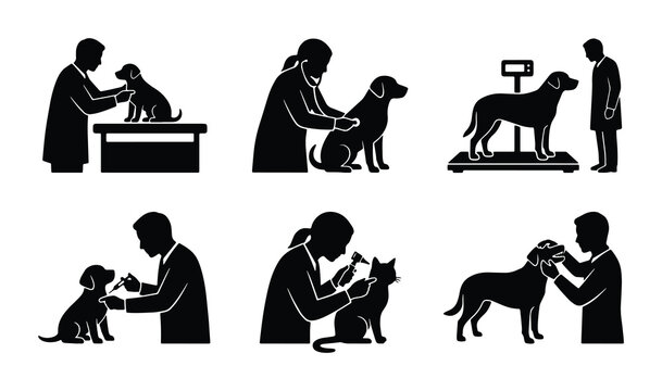 vector set of veterinary clinic silhouettes including dog and cat examinations vaccinations weight checks and treatments