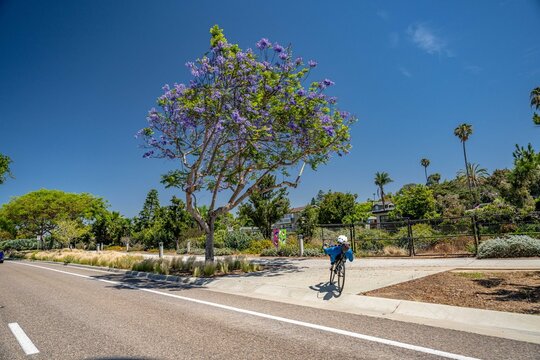 solana beach, california