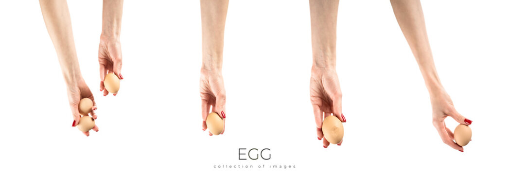 Chicken egg in female hand isolated on white background.