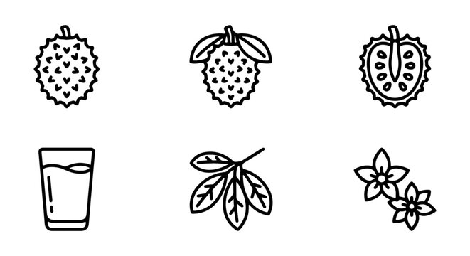 Soursop fruit icon set, tropical guanabana vector elements, exotic graviola line art