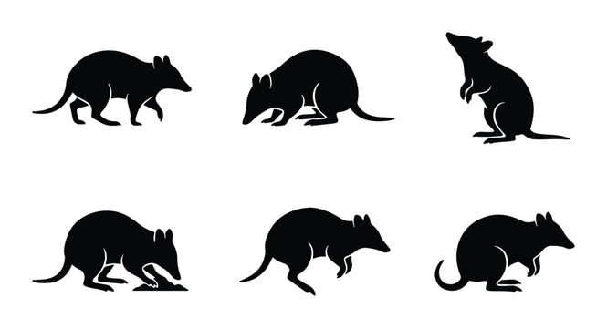 set of six black and white rat silhouettes on transparent background for graphic design use